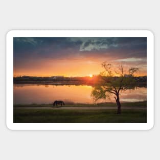 Idyllic sundown landscape Sticker